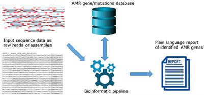 Using Genomics to Track Global Antimicrobial Resistance